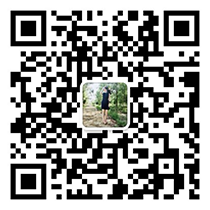 微信二维码 微信二维码